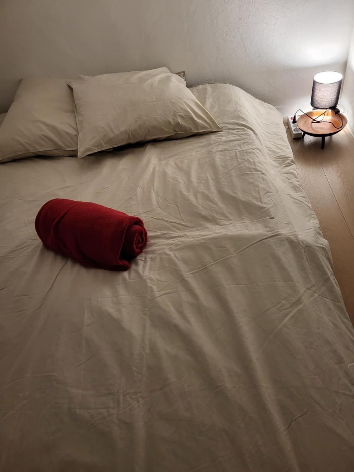 Araches-la-Frasse Appartement Duplex Centre Station 5 Personnes מראה חיצוני תמונה